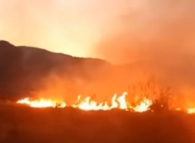 Decreto reconhece emergência em 16 cidades baianas atingidas por incêndios