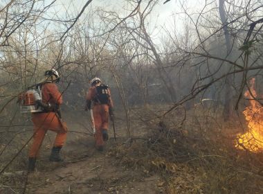 Três cidades baianas têm incêndios extintos; chamas continuam em outros 10 municípios