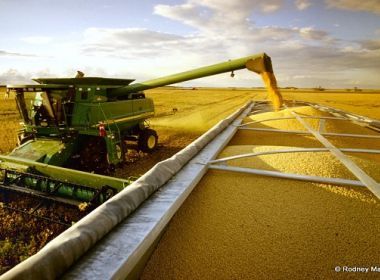 Produção de soja neste ano deve registrar 10,4 toneladas; uva e cacau têm maior colheita