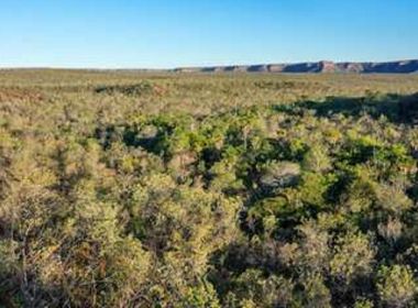 Pesquisa aponta que 4 dos 10 municípios que mais desmataram o Cerrado são da Bahia