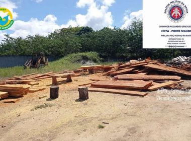 Polícia Ambiental recupera cargas de madeiras nativas da Mata Atlântica em Porto Seguro