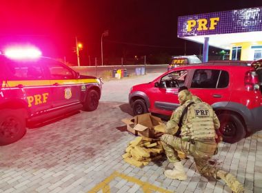 Paulo Afonso: Motorista por aplicativo é preso ao transportar 51 Kg de maconha