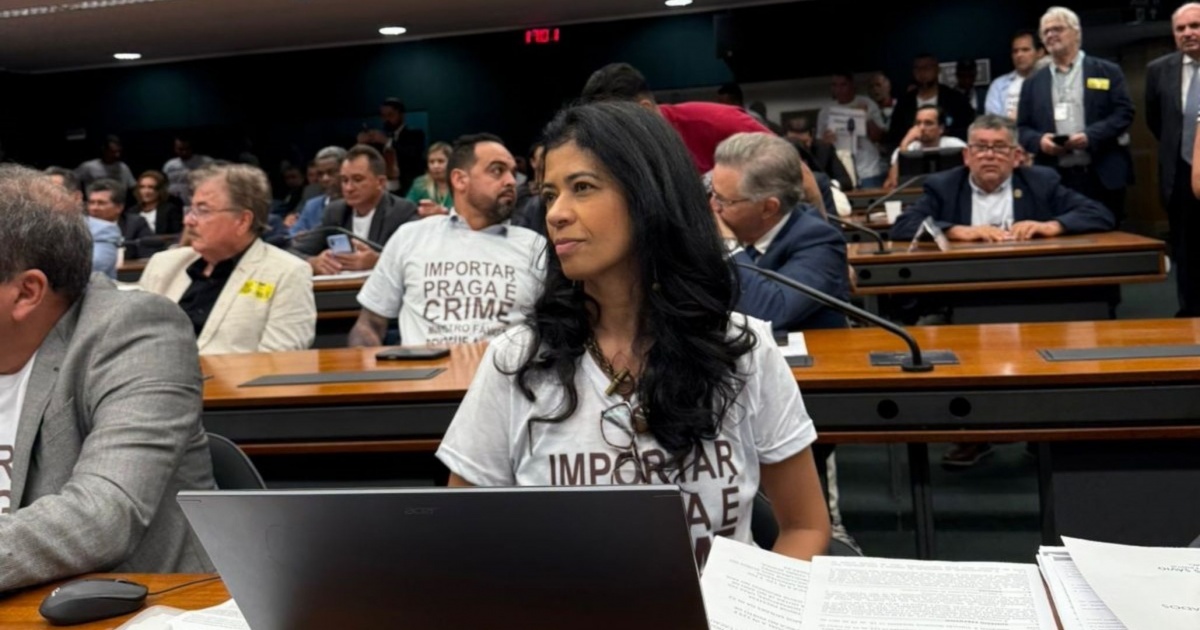 Crise do Cacau: Produtores Clamam por Mudanças Urgentes para Salvar a Economia Baiana
