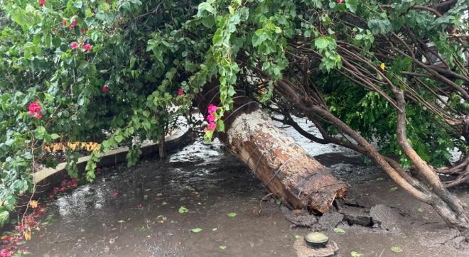 Fortes chuvas provocam alagamentos em cidades do Oeste baiano 3 chuva%20ibotirama