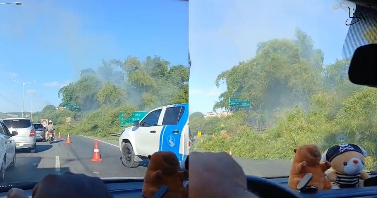VÍDEO: Queda de bambu provoca engarrafamento na BR-324 em ambos os sentidos entre Salvador e Feira de Santana