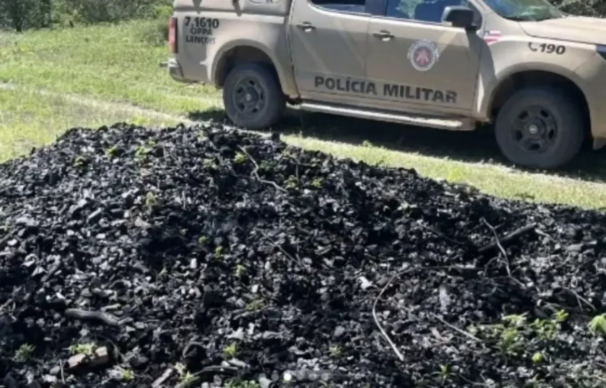 PM desmonta esquema ilegal de produção de carvão e destrói 24 fornos em Morpará