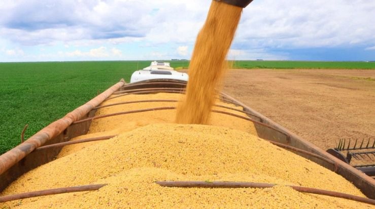 Bahia atinge produção de 12,8 milhões de toneladas de grãos em 2025