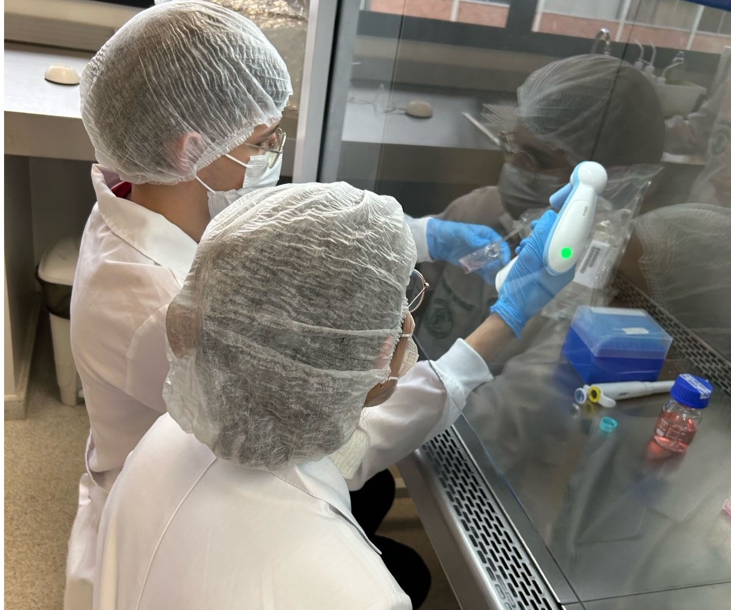 UFPR avança em tecnologia que pode encerrar abate de jumentos em abatedouros no interior da Bahia