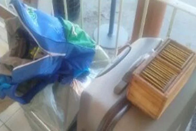 Foto reprodução/Achei Sudoeste