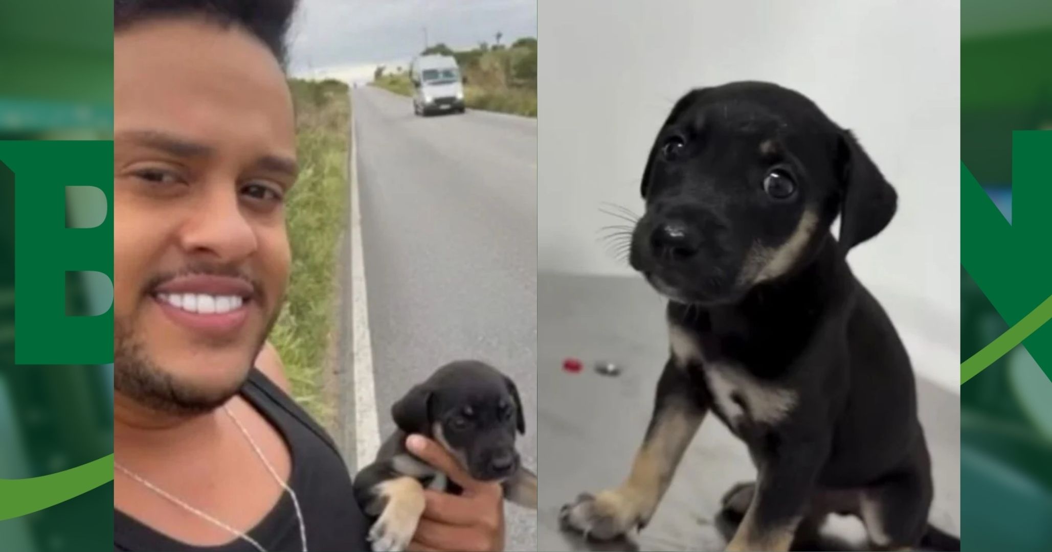 Thiago Aquino resgata filhote de cachorro abandonado em rodovia após show no interior da Bahia
