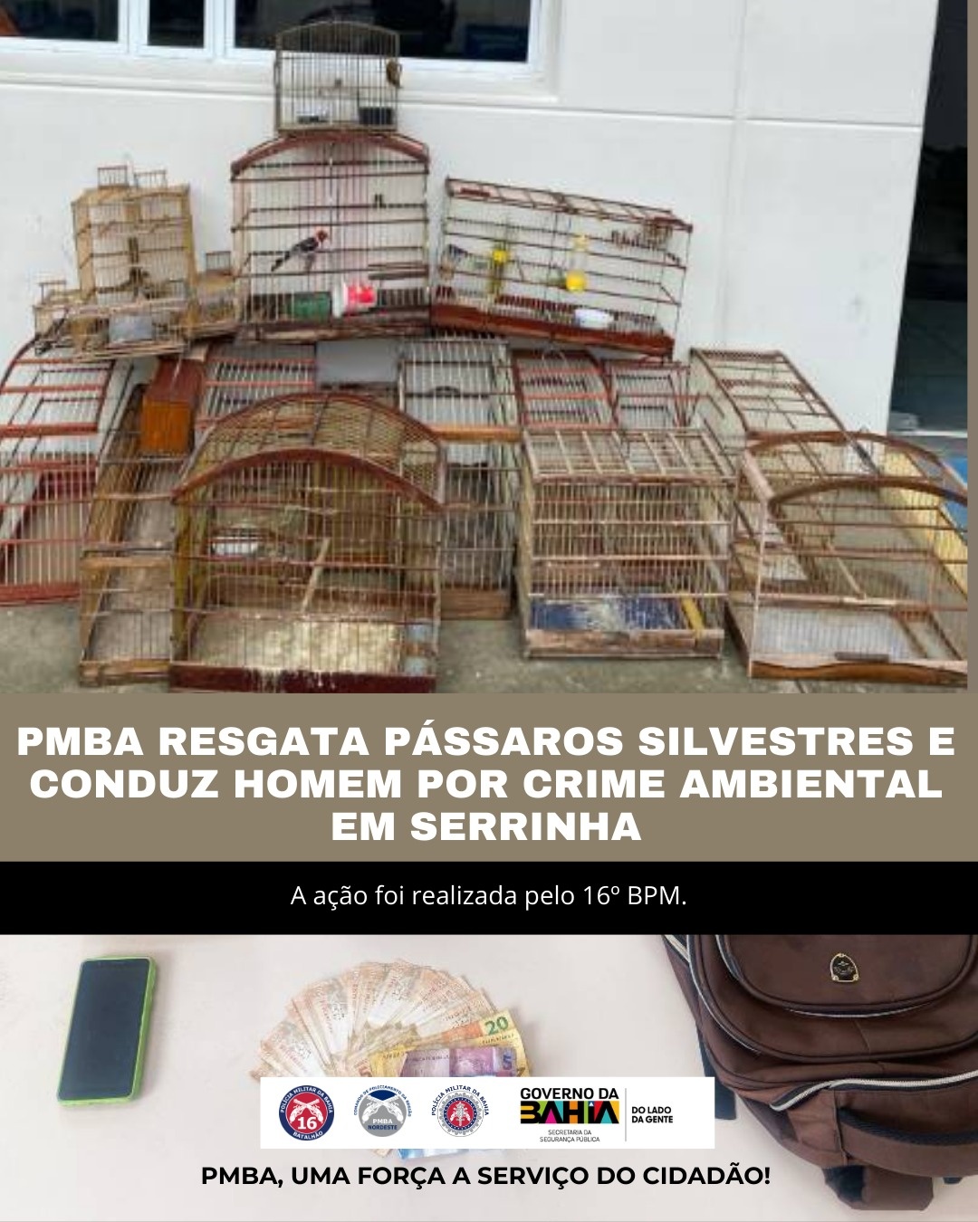 Aves silvestres são resgatadas em 'feira do rolo' em Serrinha