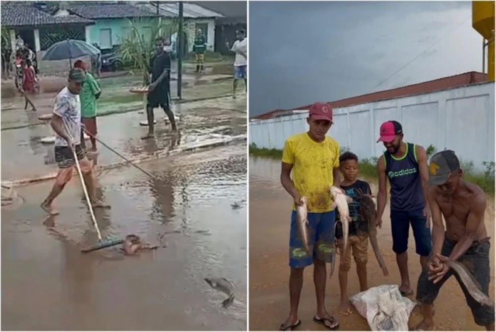 VÍDEO: Moradores de Ipiaú encontram peixes nas ruas após fortes chuvas na cidade