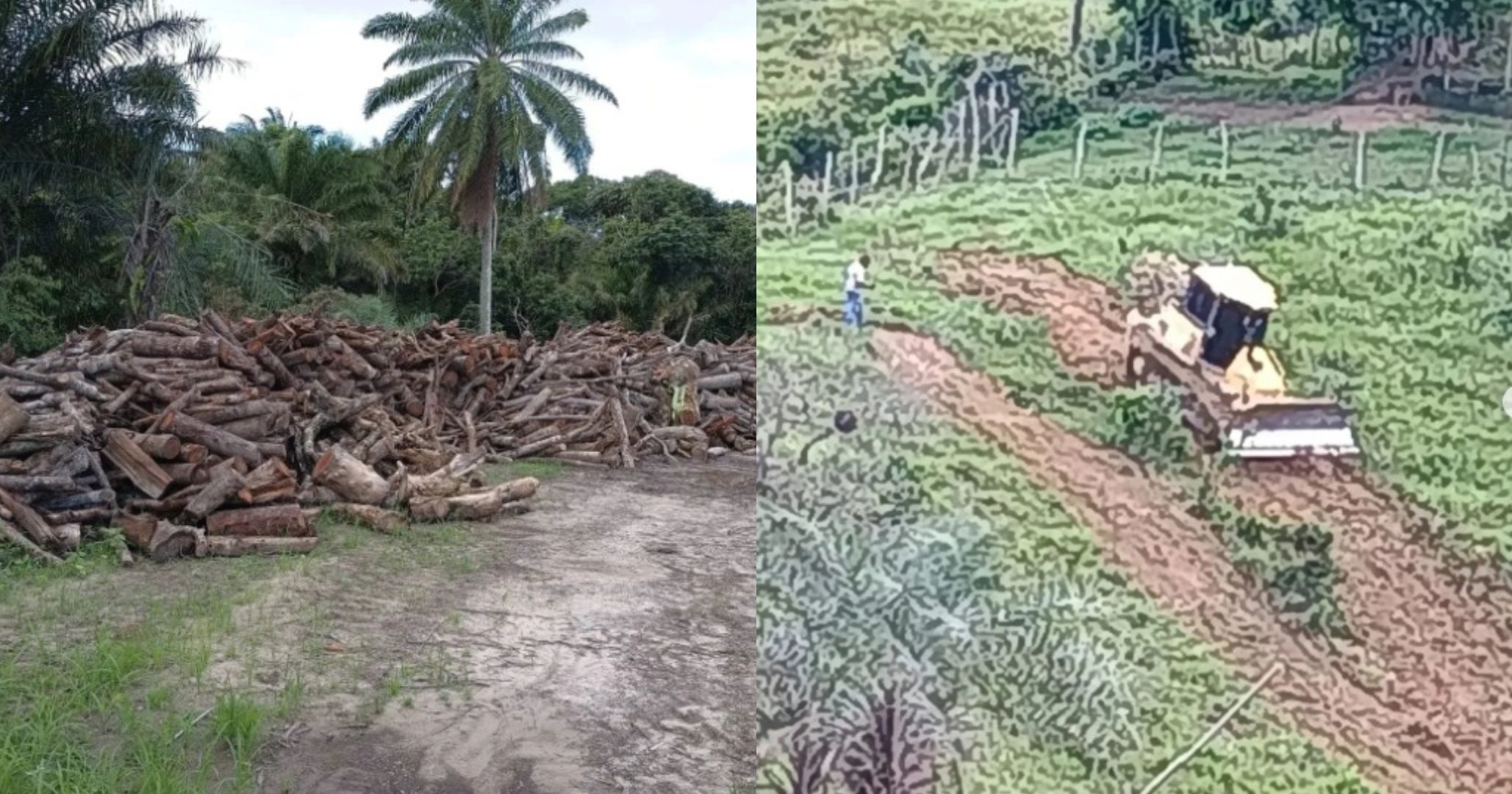 MPF processa empresas e município de Lauro de Freitas por degradação ambiental em território do Quilombo Quingoma