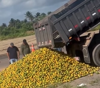 'Laranja na beira da estrada': produtores baianos se unem a sergipanos para enfrentar crise