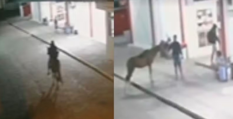 Homem usa cavalo para assaltar lanchonete de rodoviária na Bahia