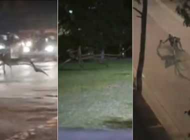 Mal das redes e o assassinato de reputações para campanha política