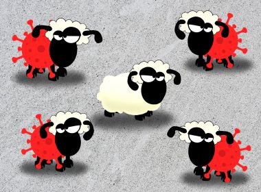 Tão tão distante da imunidade de rebanho, mas pelo menos informados