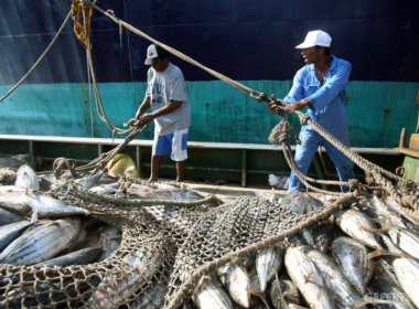 Governo federal deve modificar licença ambiental para pescadores; Bahia tem núcleo facilitador
