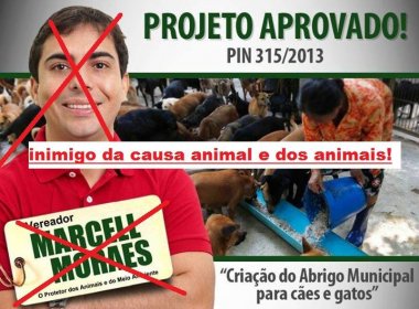 Associação protetora dos animais diz que Marcell Moraes expõe causa ‘ao ridículo’