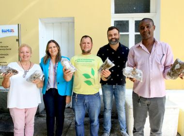 Voluntárias Sociais doam 120 quilos de marisco para associações e centros de recuperação