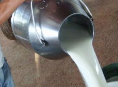 Greve dos caminhoneiros pode causar falta de derivados do leite em mercados de Salvador