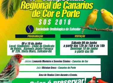 Sociedade Ornitológica realiza exposição de Canários em Salvador