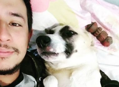 Paranaense faz campanha para tratamento de cachorro tetraplégico em Salvador