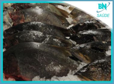 Destaque em Saúde: Carne de peixe provoca doença rara em casal de São Paulo