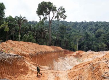 Desmatamento na Amazônia dispara durante campanha eleitoral