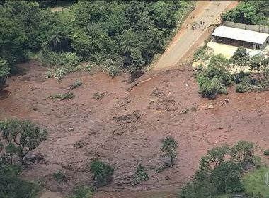 Instituto Inhotim ajudará na recuperação de Brumadinho