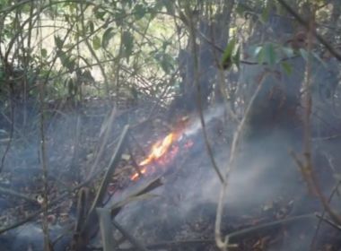 Brejões e Amargosa: Incêndio que atingia mata é controlado após quase três dias