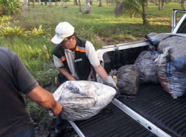 Salinas das Margaridas: Operação apreende 5,6 toneladas de crustáceos