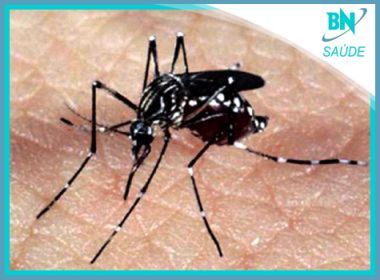 Destaque em Saúde: Cientistas descobrem novo vírus com potencial de epidemia no RJ