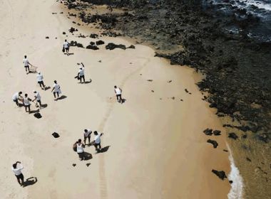 Senado ganha comissão externa para acompanhar vazamento de óleo no Nordeste