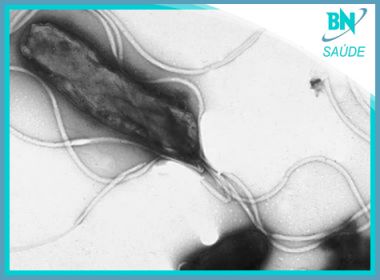Destaque em Saúde: Cientista revela que resistência de H. Pylori a antibióticos dobrou
