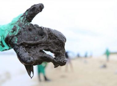 Câmara cria comissão para avaliar contaminação do litoral nordestino por petróleo