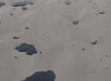 Culpar a Venezuela por óleo nas praias do Nordeste é sandice cotidiana no Brasil de 2019