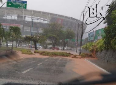 Vegetação cai sobre via e 'fecha' Dique do Tororó sentido Bonocô