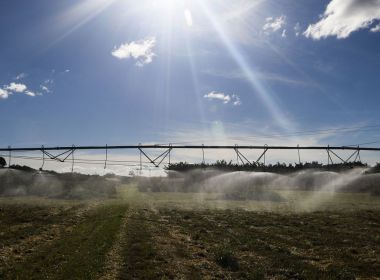 Valor da produção agropecuária de 2019 atinge recorde de R$ 630,9 bi