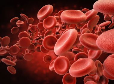 Estudo indica que pessoas com sangue tipo A podem ser mais vulneráveis ao coronavírus