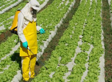 Ministério da Agricultura libera 22 agrotóxicos; já são 150 autorizações no ano