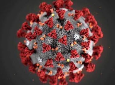 Número de mortes no mundo por coronavírus ultrapassa marca de 600 mil