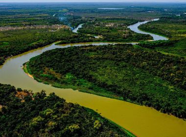 Perícia mato-grossense afirma que incêndio no Pantanal foi intencional