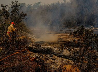 Governo libera R$ 10 milhões para combate a incêndio no Pantanal em MT