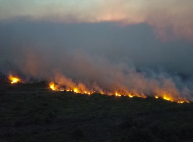 Helicóptero da Força Nacional cai no Pantanal e deixa três feridos