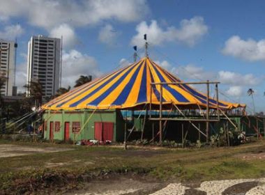 Prefeitura autoriza reabertura de circos em Salvador; veja regras de funcionamento