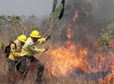Ibama determina recolhimento de brigadas de combate a incêndios por falta de recursos