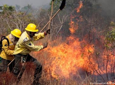 Brasil registra mais de 200 mil focos de queimadas em 2020; número é o maior na década