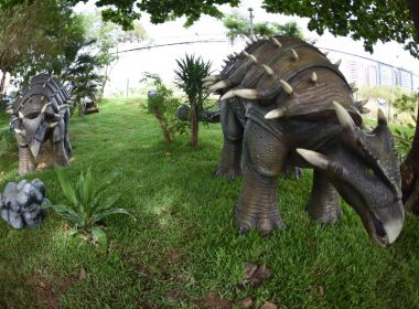 Lagoa com réplica de dinossauros é inaugurada no Stiep, em Salvador; veja fotos