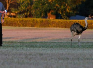 Médicos paspalhões e o descrédito da medicina
